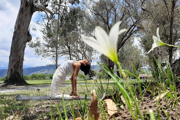 Yoga