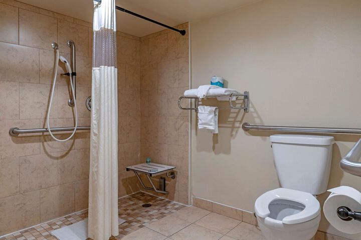 Accessible 1 Queen Mobility Accessible Roll in Shower Full Breakfast (4 of 6)