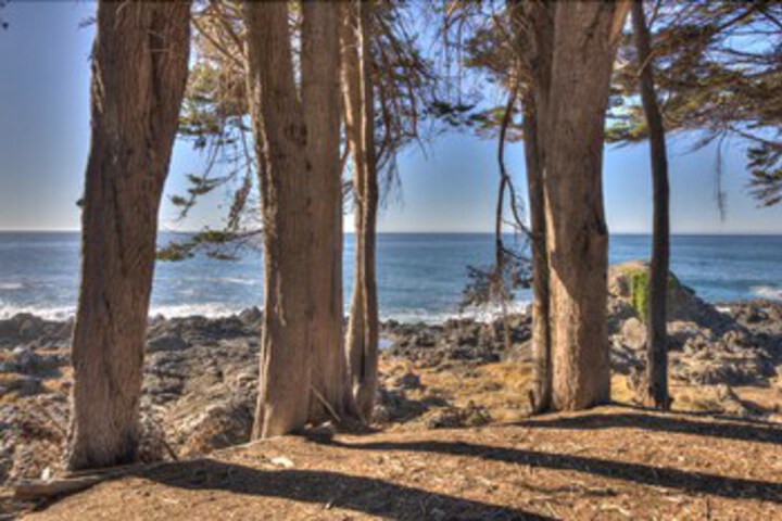 Beach 8 of 39