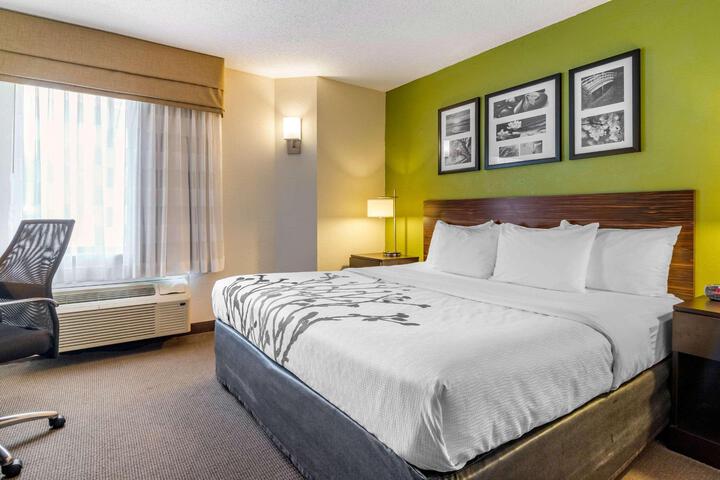 1 King Bed (6 of 12)