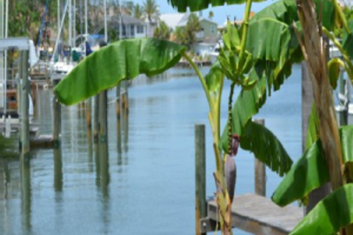 Hotel Exterior 21 of 576