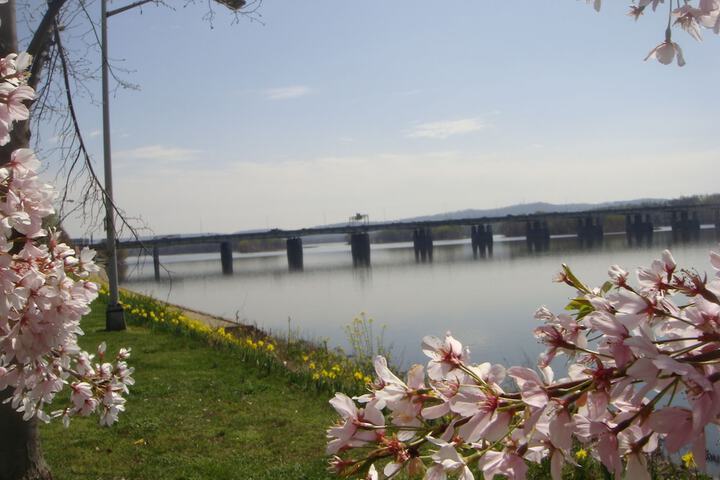 Lake