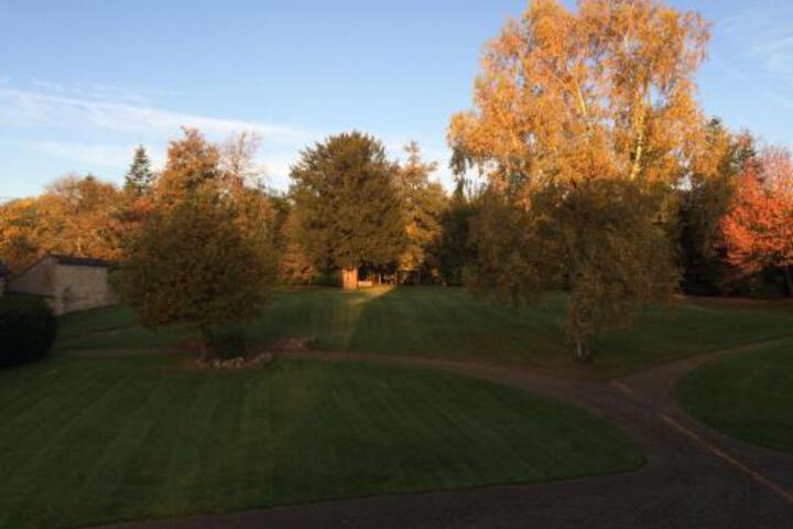 General 29 of 36