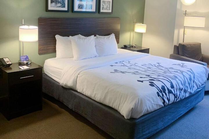1 King Bed (10 of 11)