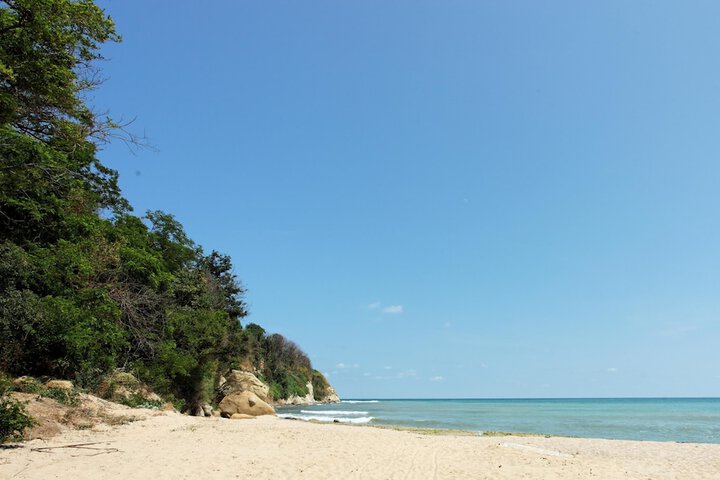 Beach 32 of 49
