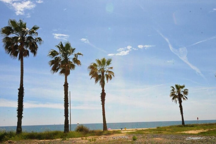 Beach 24 of 32