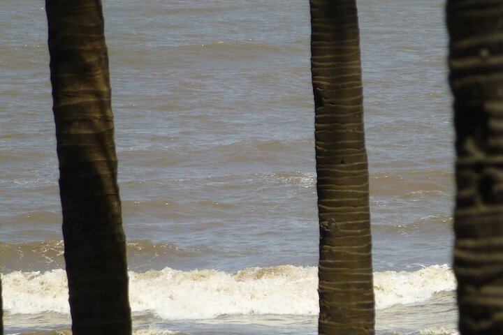 Beach 202 of 233