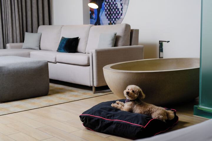 Pet-friendly amenities