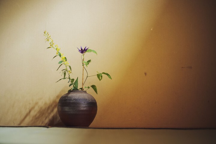 Room 30 of 60