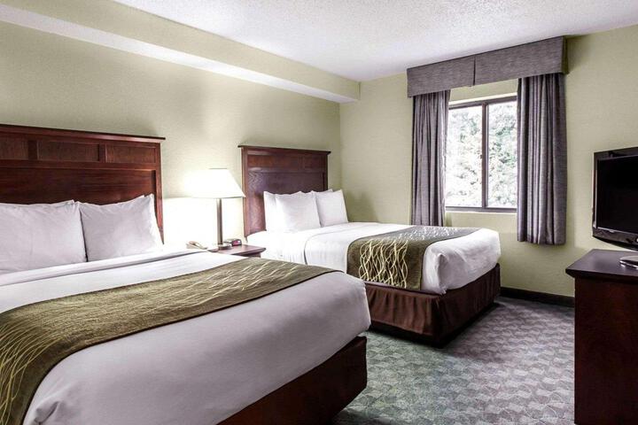 2 Queen Beds (1 of 7)