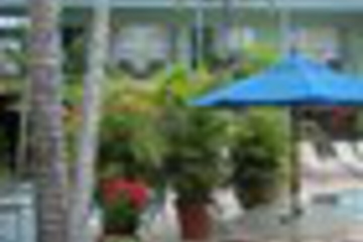 Terrace/Patio 110 of 120