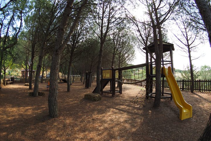 Children's play area - outdoor
