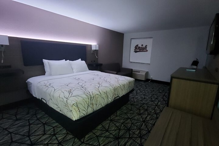 1 King Bed (4 of 12)