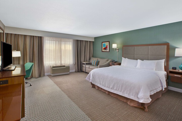 1 King Hearing Accessible with Sofa Bed (9 of 9)