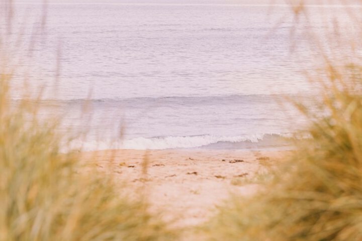Beach 54 of 66
