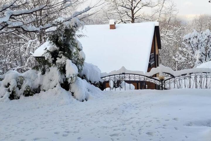 General 11 of 100
