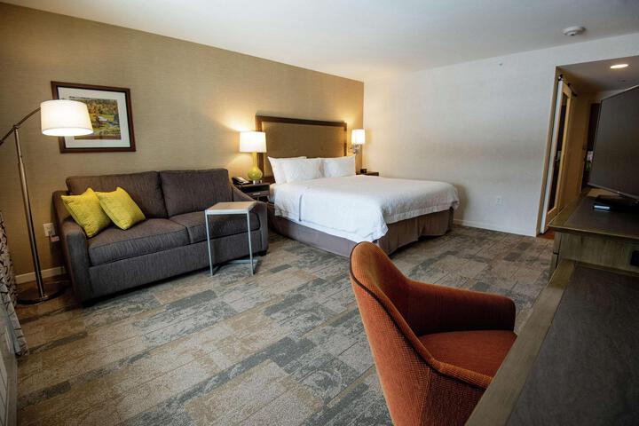 1 King Hearing Accessible with Sofa Bed (10 of 23)