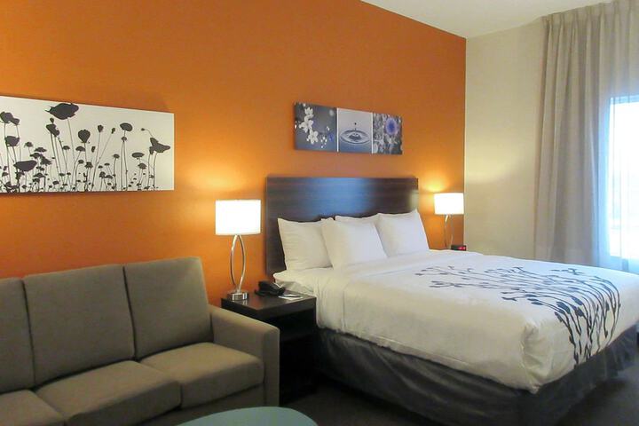 1 King Bed (9 of 13)