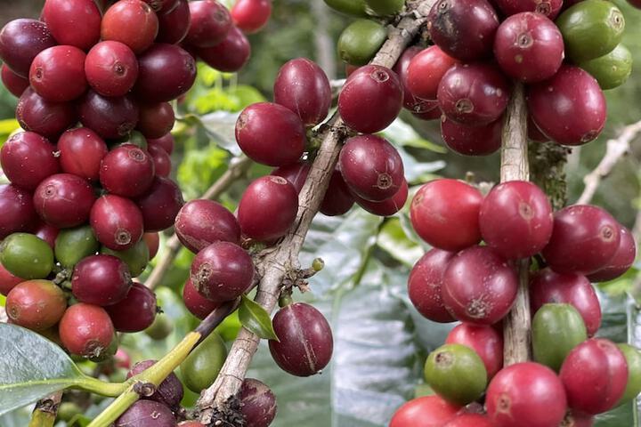 Hotel Exterior 34 of 40