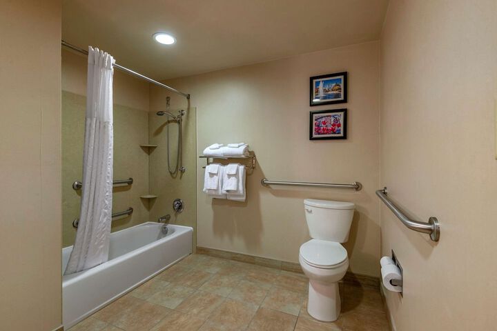 1 King Bed Suite (3 of 30)