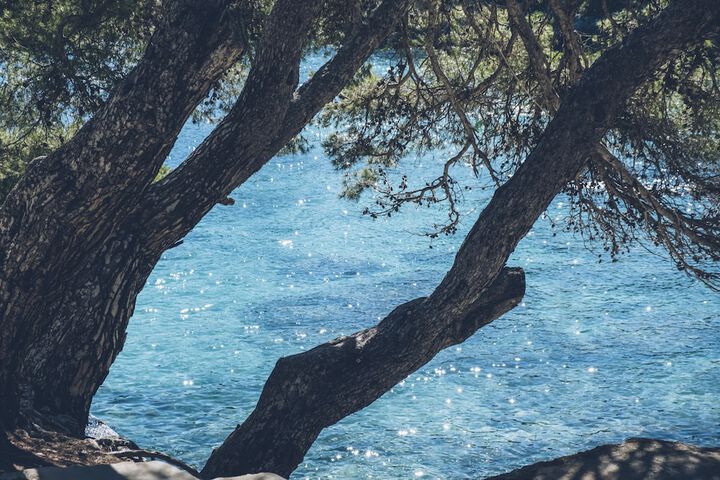 Beach 54 of 58