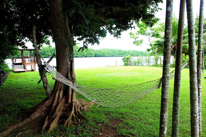 Property Grounds 45 of 65