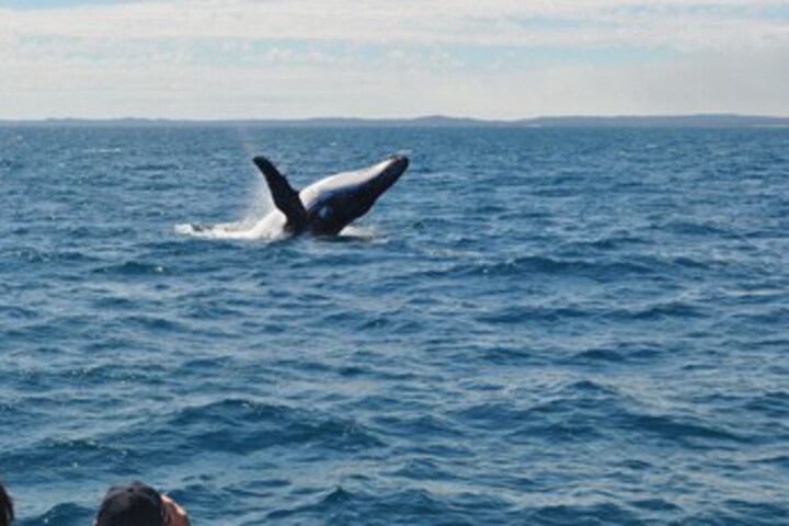 Childrens Activities 6 of 15