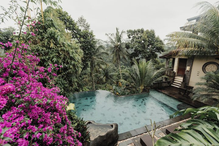 Pool 50 of 66