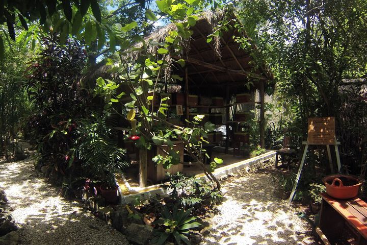 Property Grounds 39 of 47