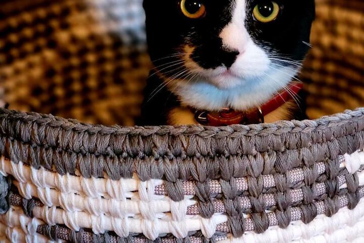 Hotel Interior 20 of 27