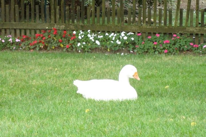 Property Grounds 23 of 40