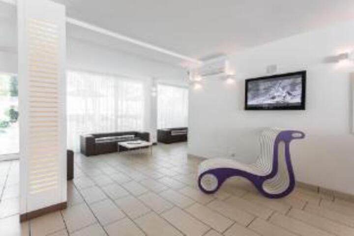 Standard Suite