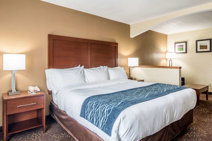1 King Bed (7 of 15)