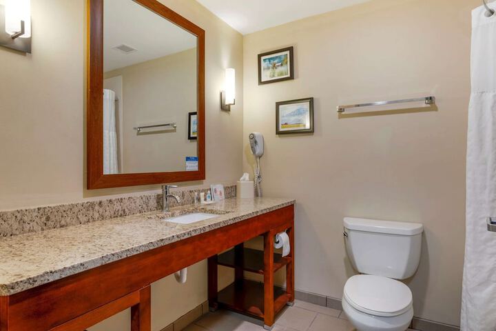 1 King Bed Suite (10 of 14)
