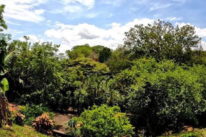 Property Grounds 17 of 30