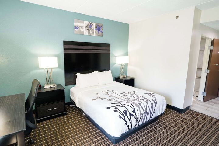 1 Queen Bed Accessible (2 of 31)