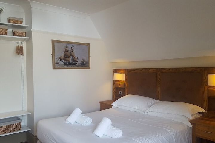 The Dolphin Image 9
