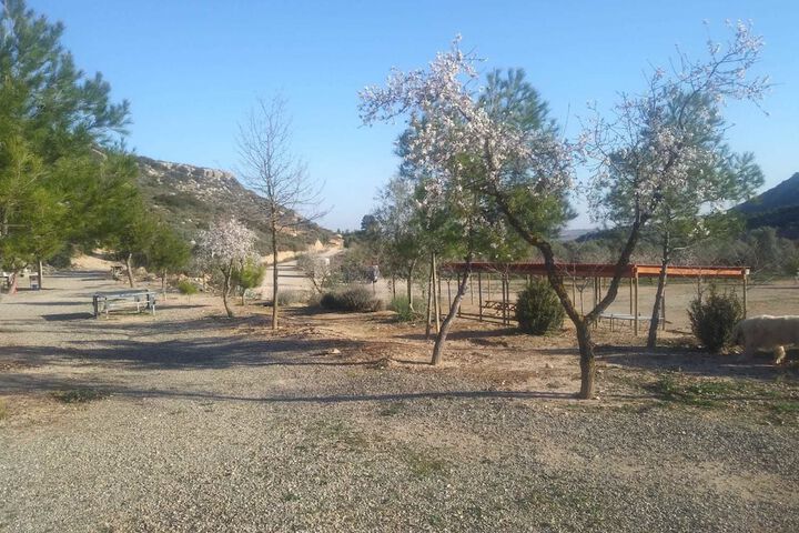 Property Grounds 34 of 52