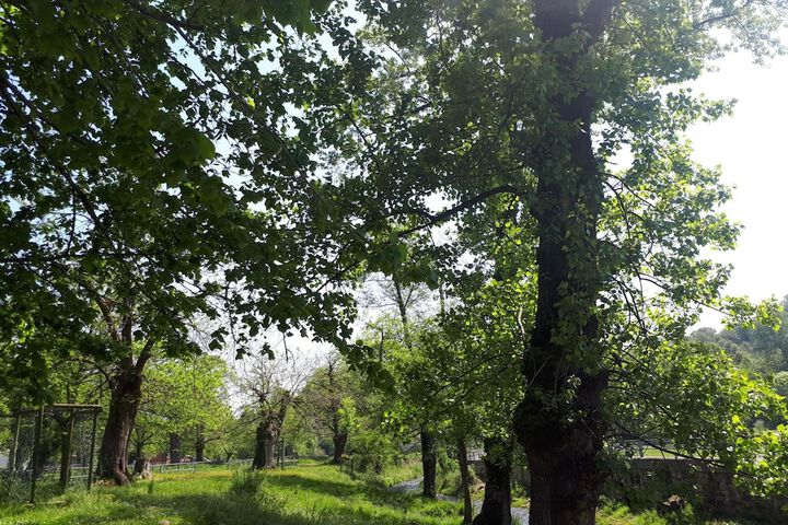Property Grounds 41 of 49