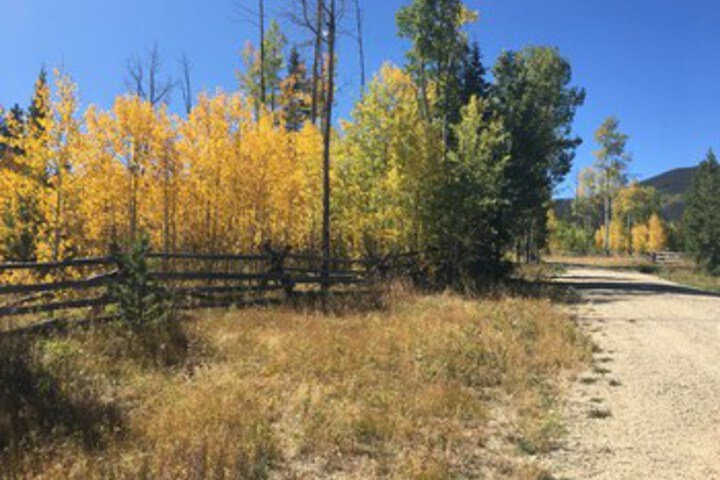 Property Grounds 33 of 39