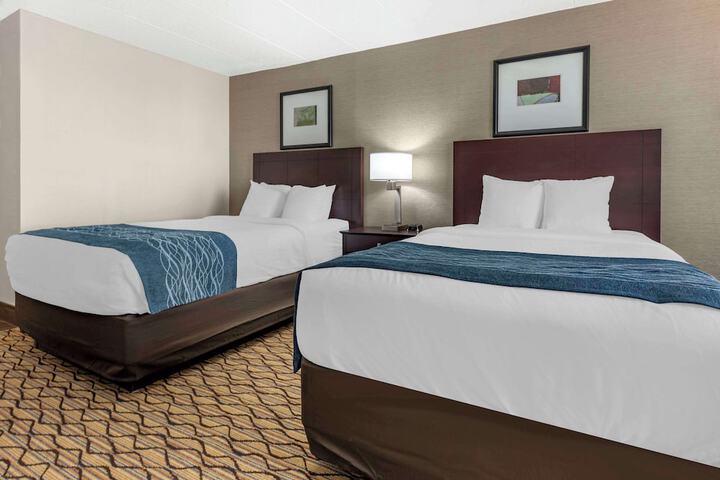 2 Double Beds (1 of 9)