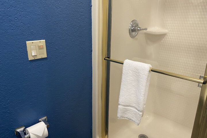 1 Queen Bed Mobility Hearing Accessible Room Bathtub with Grab Bars (7 of 15)