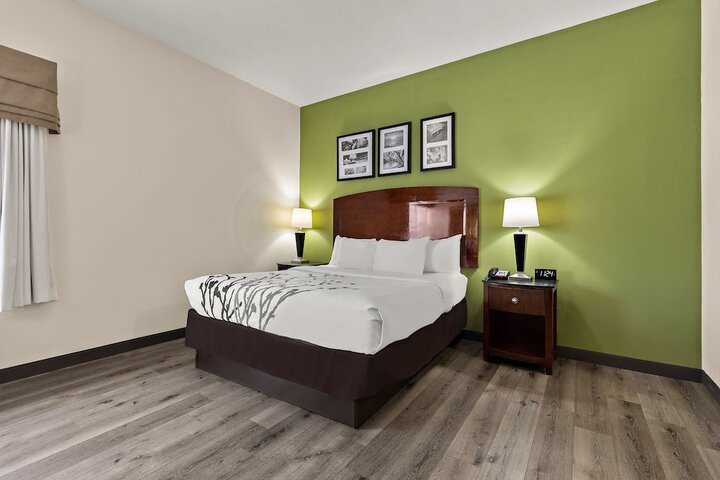 1 King Bed (7 of 19)