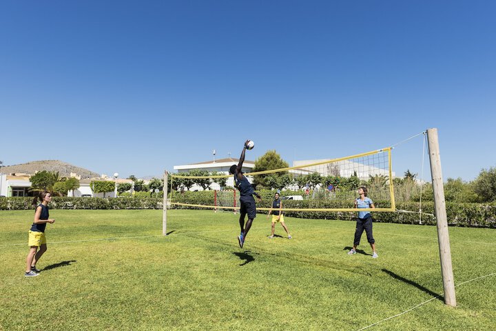 Sport court