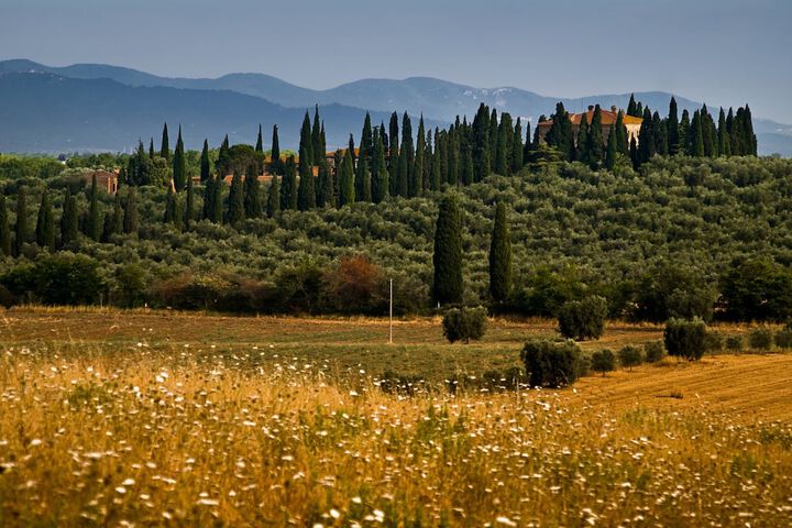 Tenuta di Poggio Cavallo in Grosseto