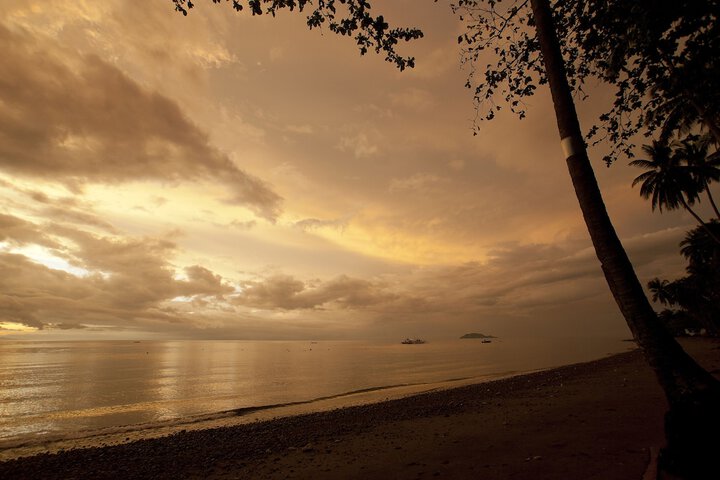 Beach 74 of 84