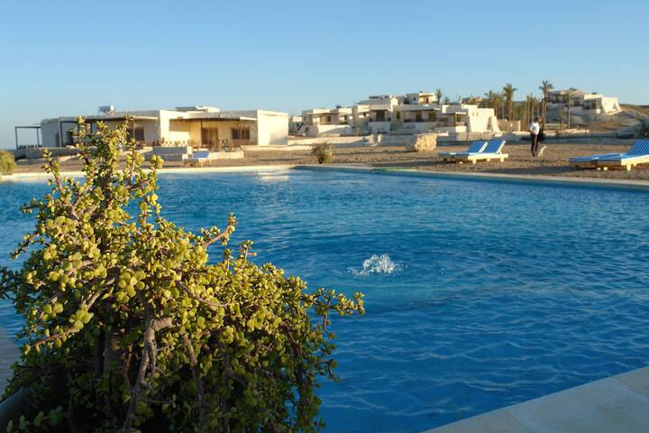 Pool 29 of 49