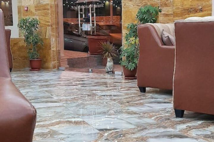 Hotel Interior 4 of 78