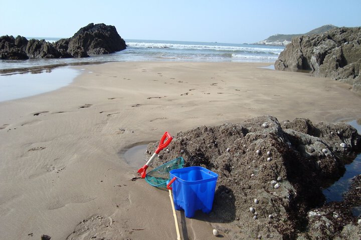 Beach 198 of 240