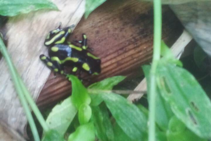 Ecotours